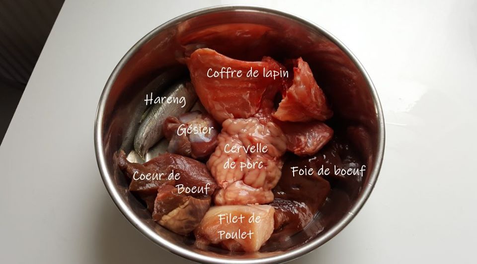 Lu0027alimentation - Nourriture au cru pour nos bergers australiens 